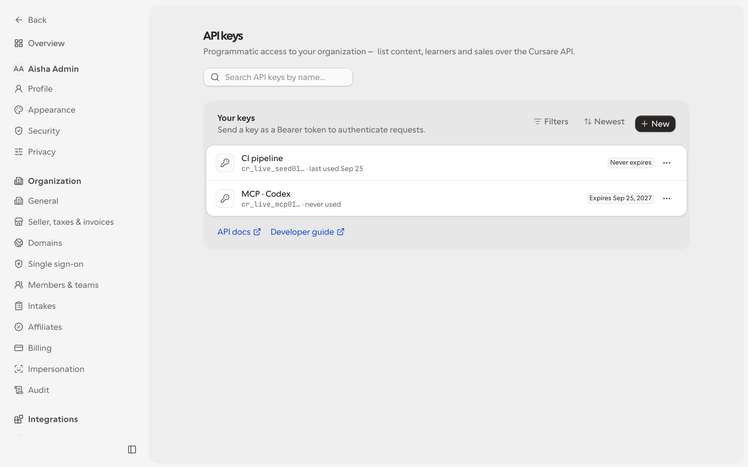 Developer settings with API keys for automation and MCP clients